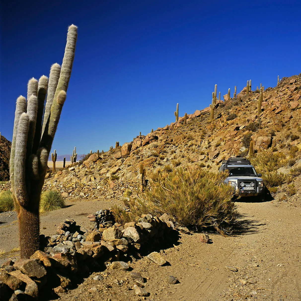 Ein Range-Rover Geländewagen fährt durch eine sonnige Kakteen-Landschaft in Argentinien, aufgenommen für Mens Health Magazin mit Hasselblad 501c FarbDia-Film