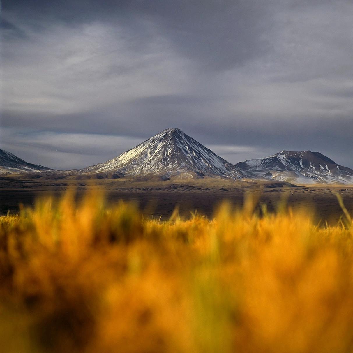 Im Vordergrund sind unscharfe gelbliche Gräser in Argentinien zu sehen und im Hintergrund vulkanähnliche teilweise schneebedeckte Berge, aufgenommen für Mens Health Magazin während einer Land Rover Experience Tour mit Hasselblad 501c FarbDia-Film